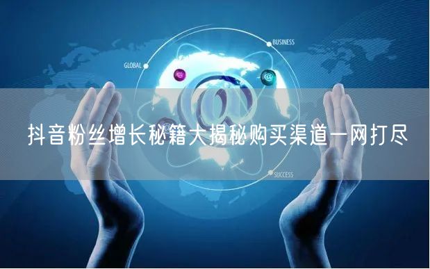 抖音粉丝增长秘籍大揭秘购买渠道一网打尽
