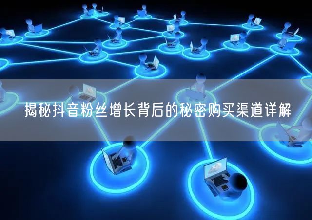 揭秘抖音粉丝增长背后的秘密购买渠道详解