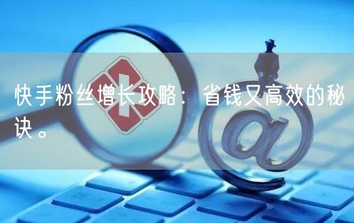 快手粉丝增长攻略：省钱又高效的秘诀。