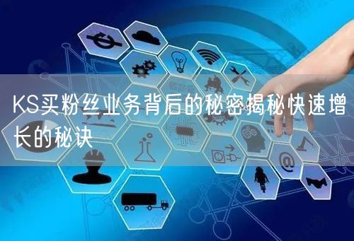 KS买粉丝业务背后的秘密揭秘快速增长的秘诀
