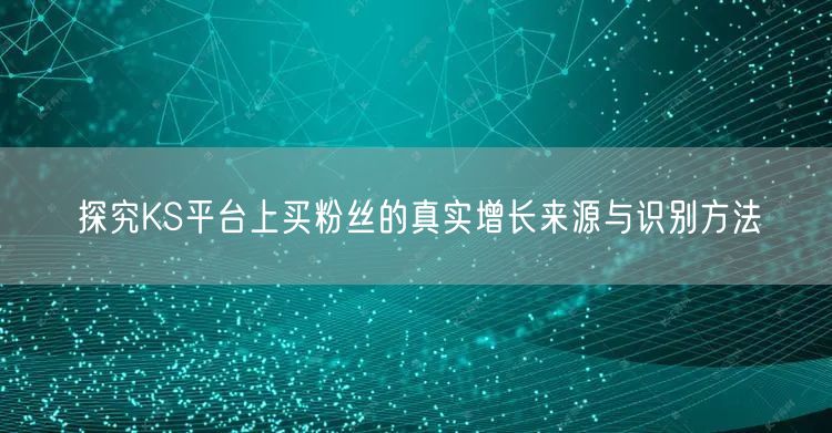 探究KS平台上买粉丝的真实增长来源与识别方法