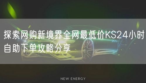 探索网购新境界全网最低价KS24小时自助下单攻略分享