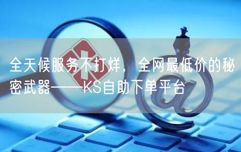 全天候服务不打烊，全网最低价的秘密武器——KS自助下单平台